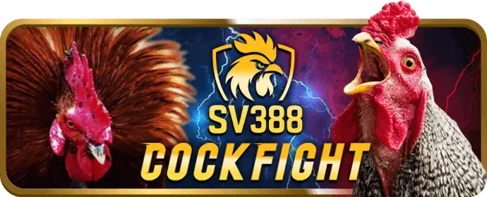 Chương trình VIP b52club app