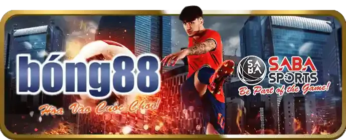 Vòng thưởng và tính năng đặc biệt